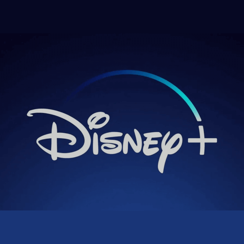 Disney Plus Account  1 Year